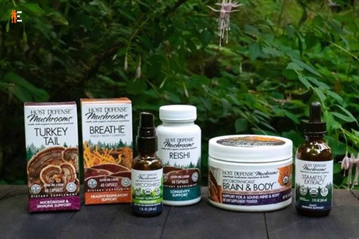 Best 7 Mushroom Supplements Worth Buying | The Entrepreneur Review
