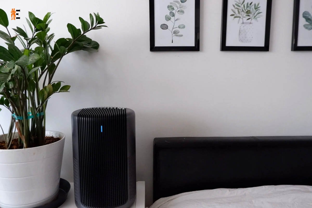 Best 10 Air Purifiers Recommended by Doctors | The Entrepreneur Review