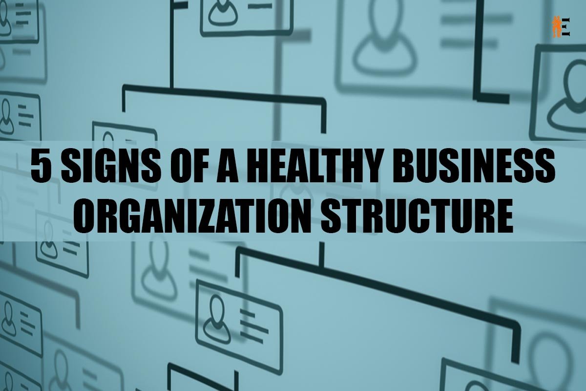 5 Signs of A Healthy Business Organization Structure | The Entrepreneur Review