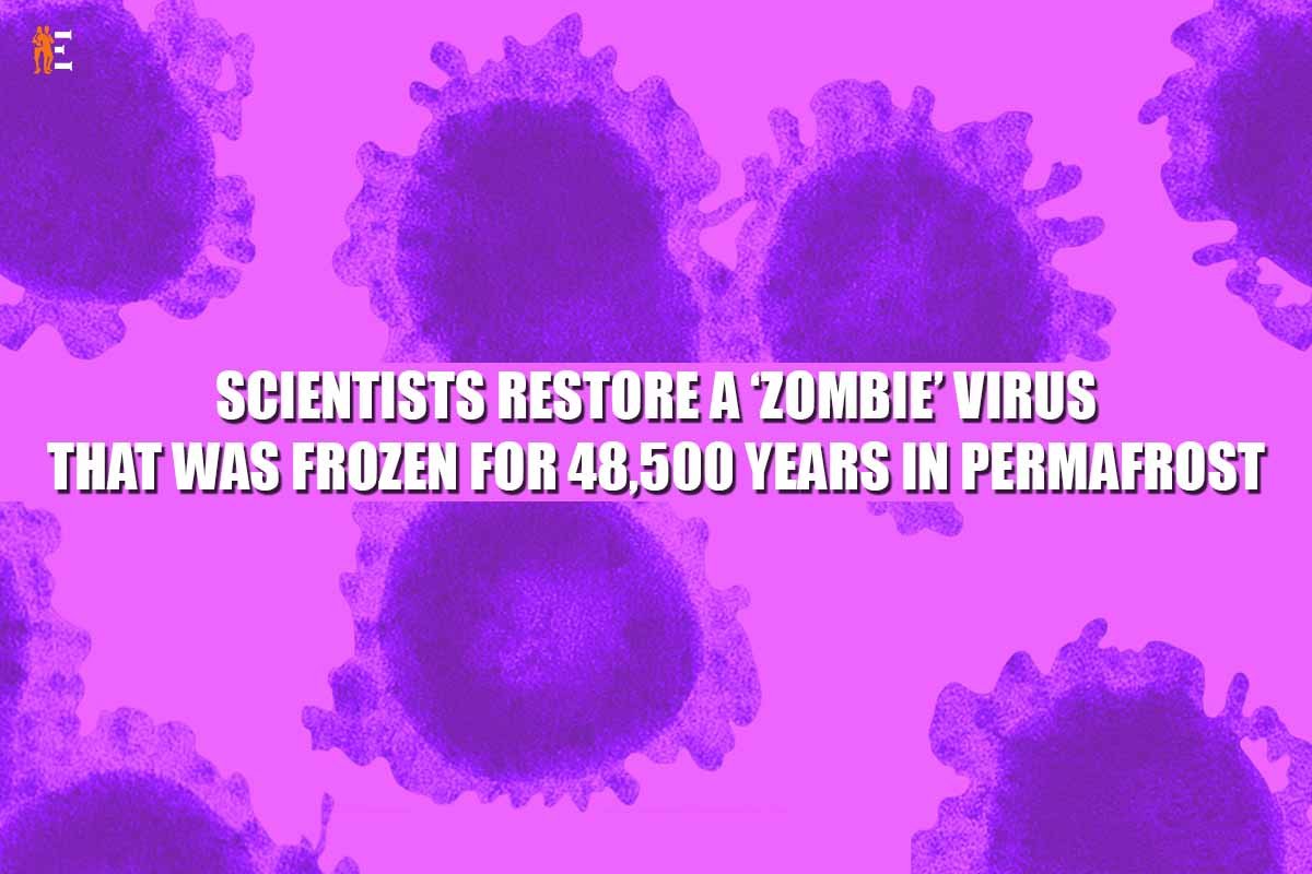 Scientists restore a Zombie Virus That Was Frozen for 48,500 years in permafrost | The Entrepreneur Review
