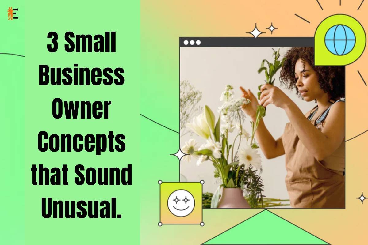 3 Unusual Concepts for Small Business Owner | The Entrepreneur Review