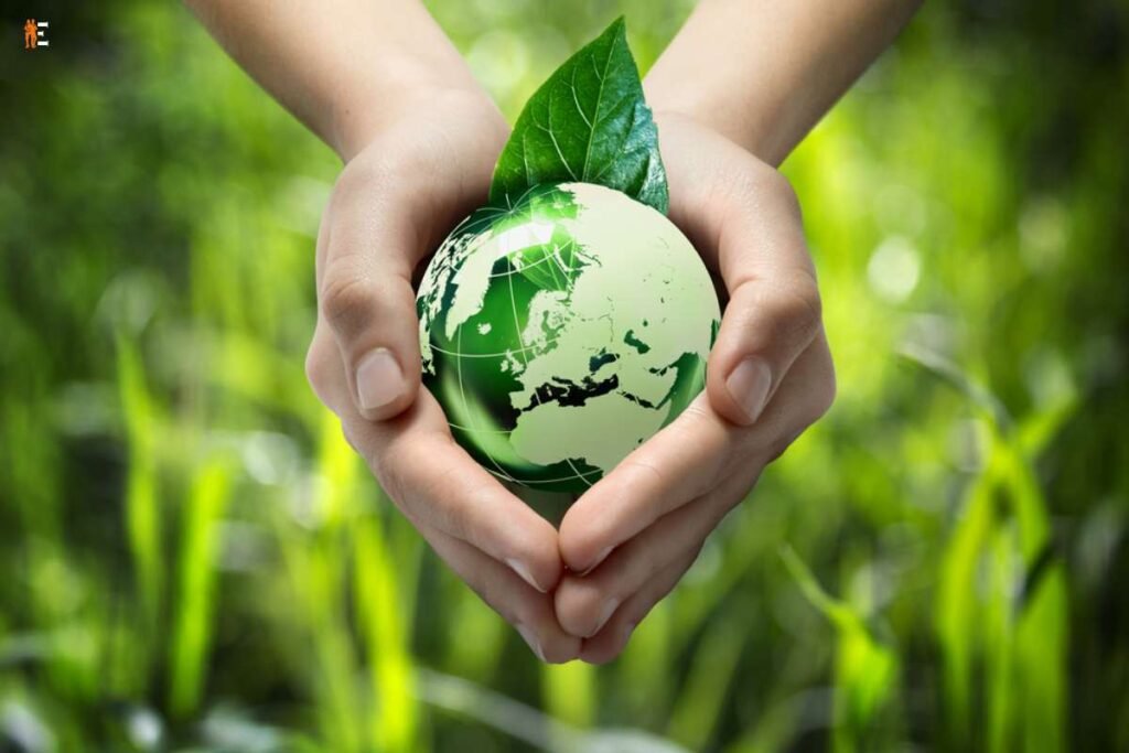 6 Useful Benefits of Green Businesses: A Marketing Gimmick? | The Entrepreneur Review