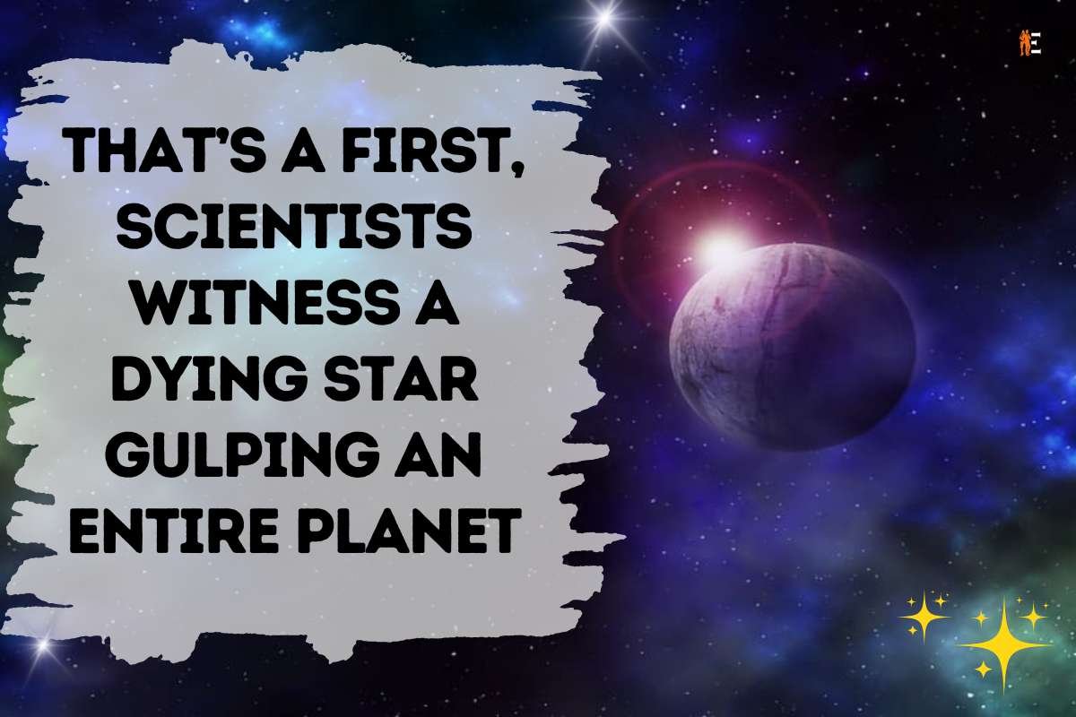 Scientists Witness a Dying Star Gulping an Entire Planet: That's a 1st | The Entrepreneur Review