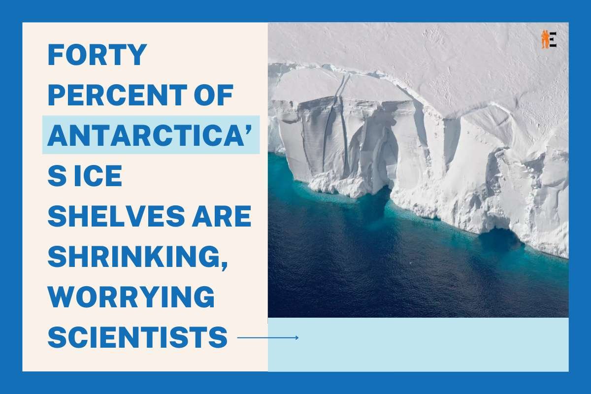 Forty percent of Antarctica’s ice shelves are shrinking, worrying scientists